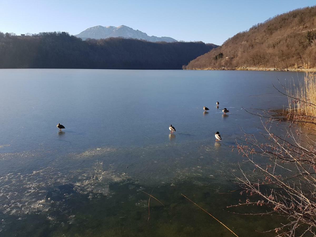 Appartamento Nido Levico Terme Exterior foto